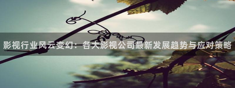 琪琪在线播放影院：影视行业风云变幻：各大影视公司最新发展趋势与应对策略