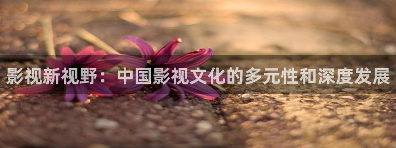 琪琪爱影院：影视新视野：中国影视文化的多元性和深度发展