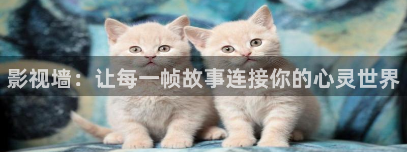 琪琪在线影院电视剧最新：影视墙：让每一帧故事连接你的心灵世界