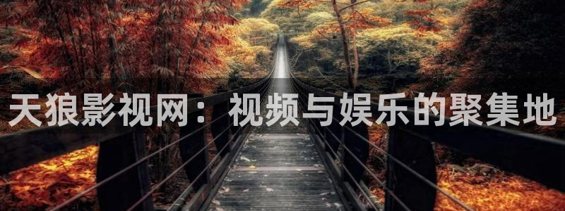 琪琪影院首页：天狼影视网：视频与娱乐的聚集地