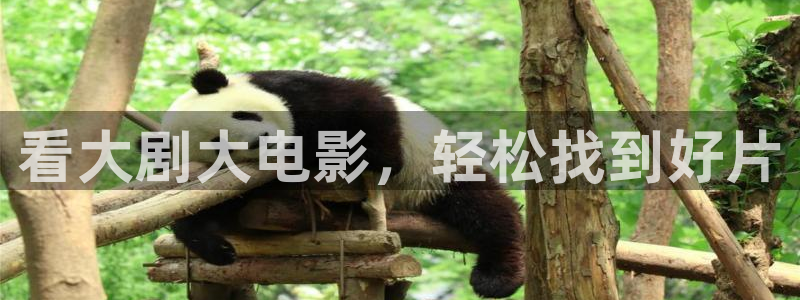 1琪琪影院